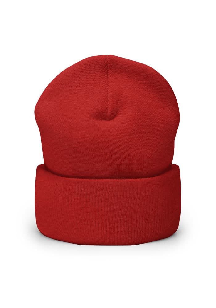 Cuffed Beanie