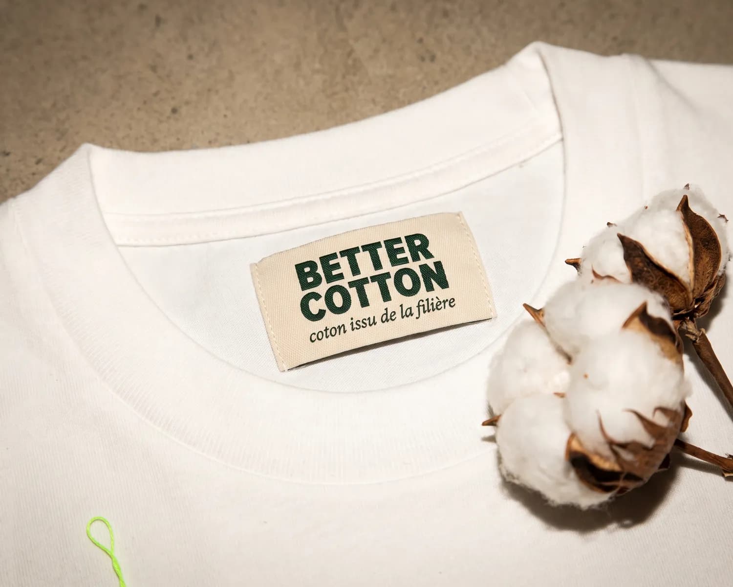 Better Cotton : définition, critères et limites du label