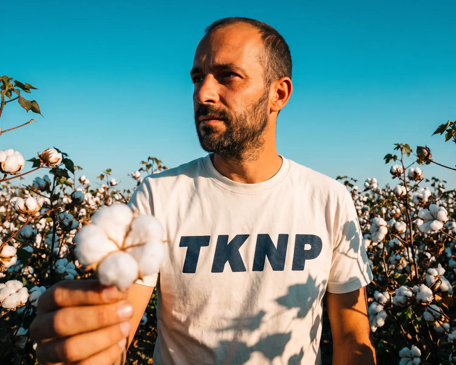 OCS label: a man in an ecru TKNP t-shirt holds a cotton boll in a cotton field
