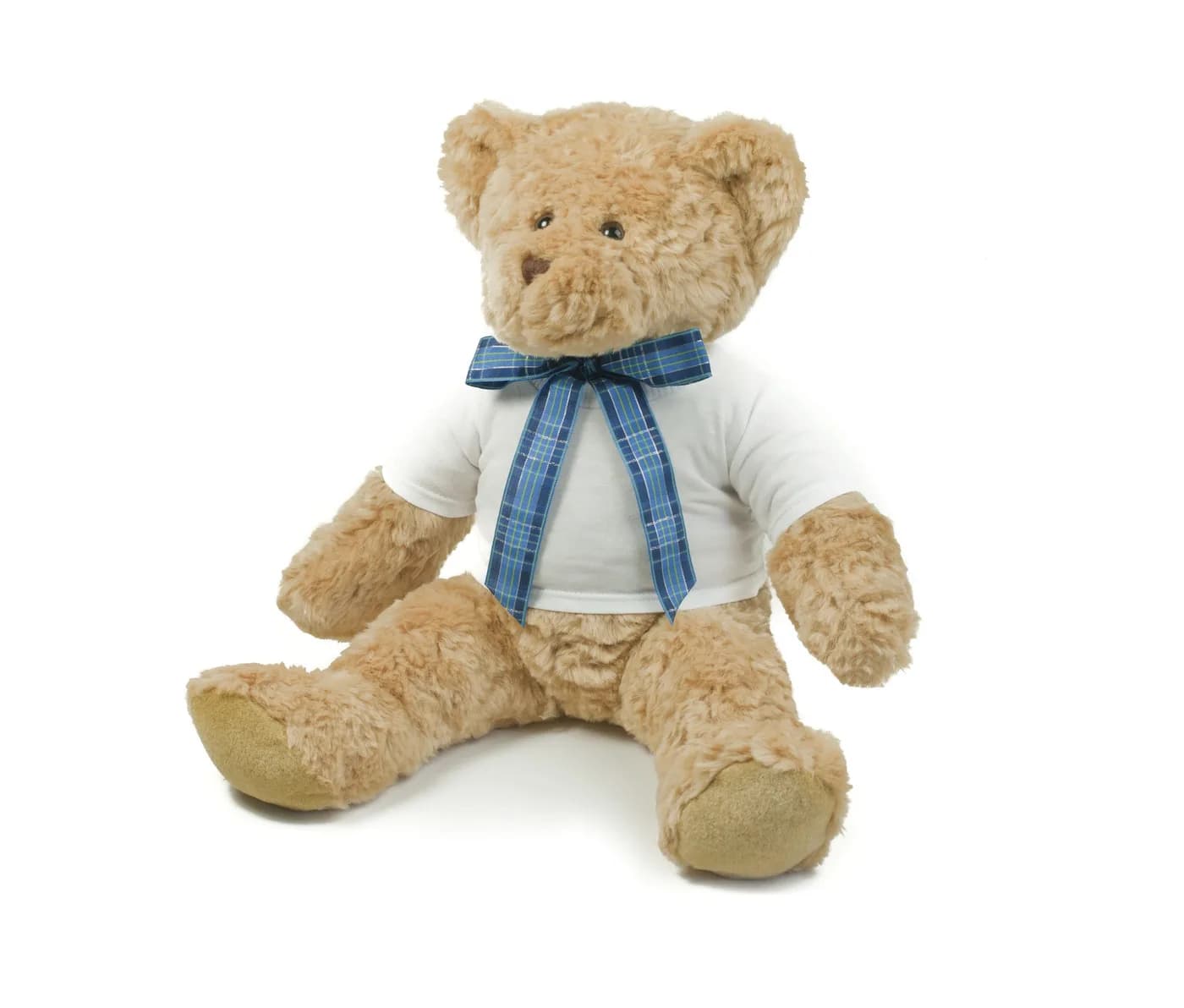 Teddy T-Shirt — T-shirts Mumbles à personnaliser